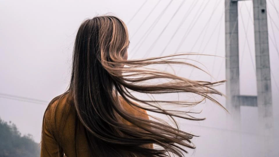 Long brown hair blowing in the wind, seen from behind